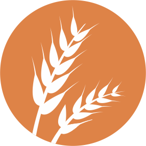 gluten