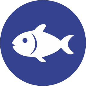 pescado